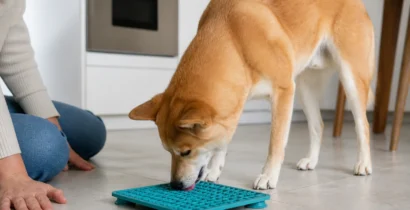 犬用リックマットは溝の複雑さより安全性 吸盤・大きさ・洗いやすさで選ぶ