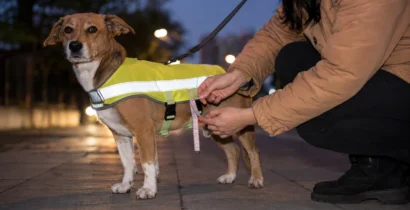 犬用反射ベストの仕様確認　胸囲・昼夜の見え方・留め具・洗濯